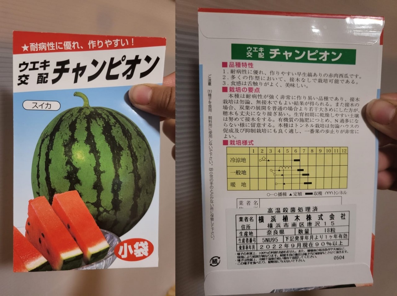 西瓜(奈良产)