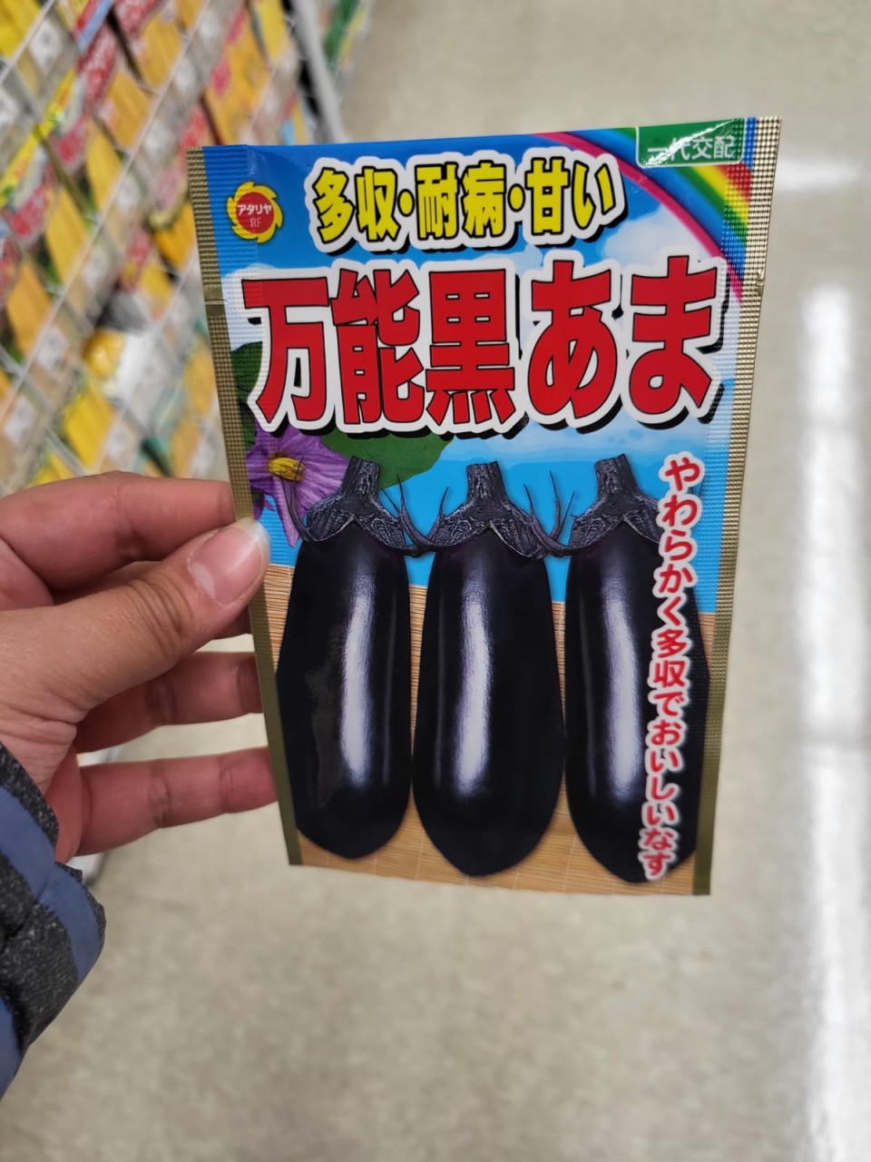 茄子(宫城产)