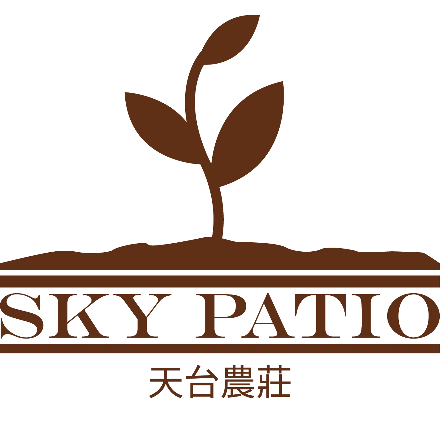 Sky Patio